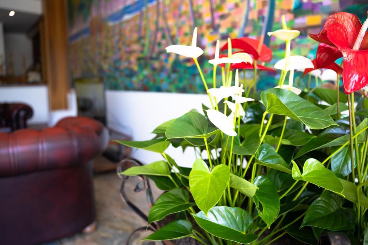 Residence Playa Tortoreto Екстериор снимка